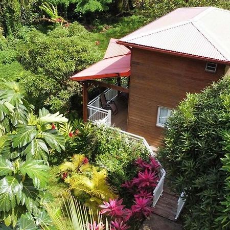 Mahogany Lodge - Oasis Cosy Rivière-Pilote Екстериор снимка