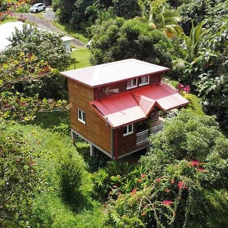 Mahogany Lodge - Oasis Cosy Rivière-Pilote Екстериор снимка