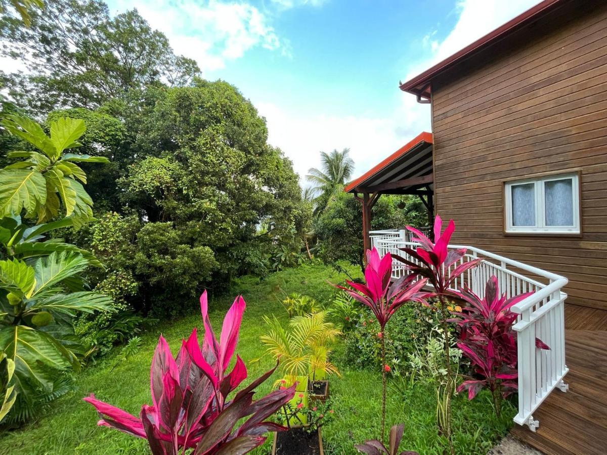 Mahogany Lodge - Oasis Cosy Rivière-Pilote Екстериор снимка