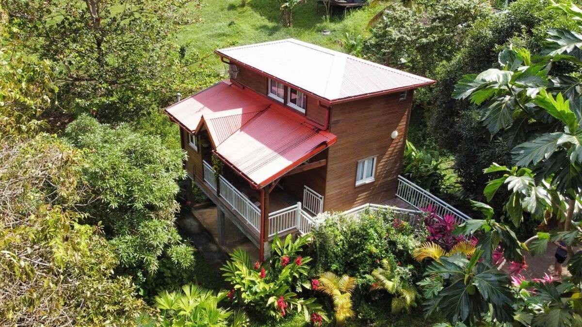Mahogany Lodge - Oasis Cosy Rivière-Pilote Екстериор снимка