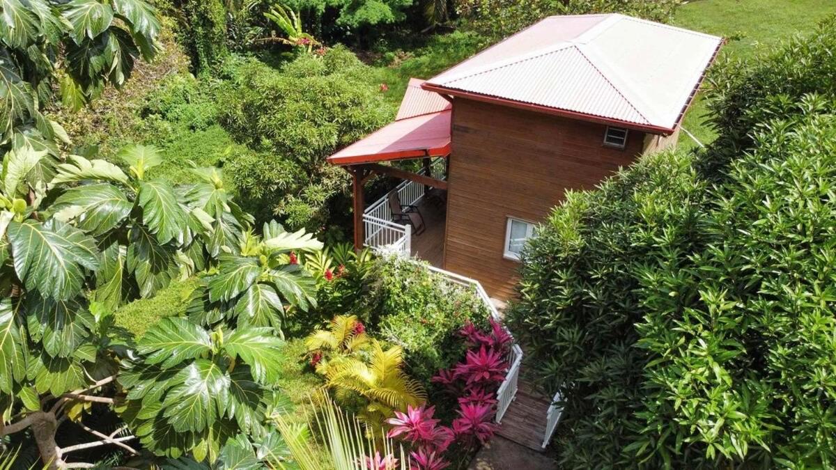 Mahogany Lodge - Oasis Cosy Rivière-Pilote Екстериор снимка